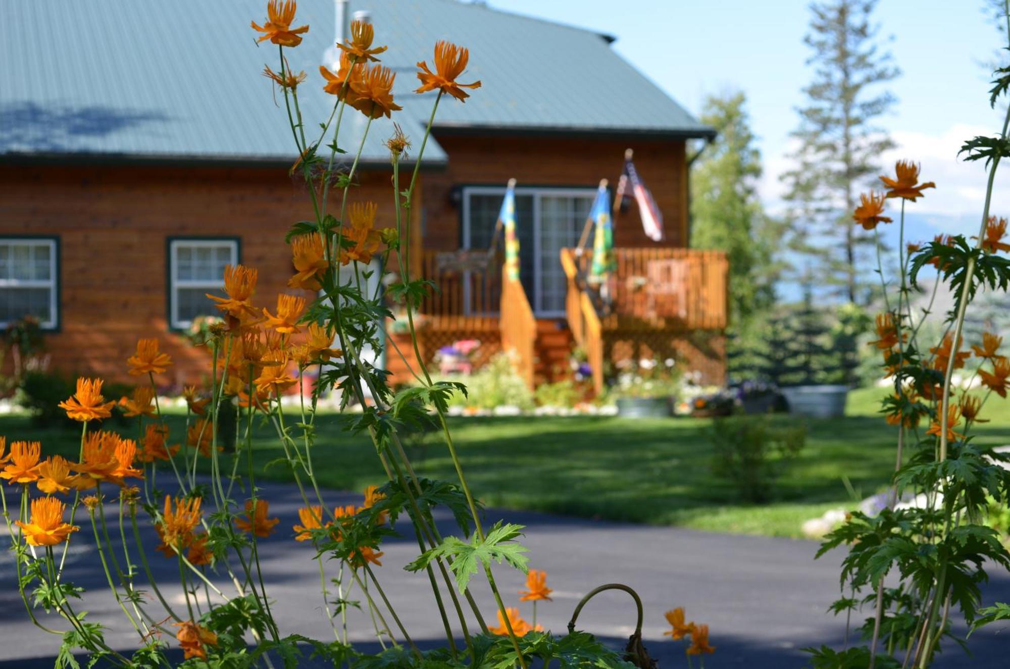 Alaska'S Lake Lucille Bed & Breakfast Bed & Breakfast Wasilla Ngoại thất bức ảnh